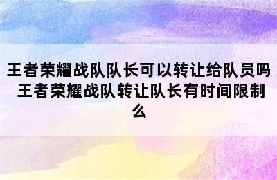 王者荣耀战队队长可以转让给队员吗 王者荣耀战队转让队长有时间限制么